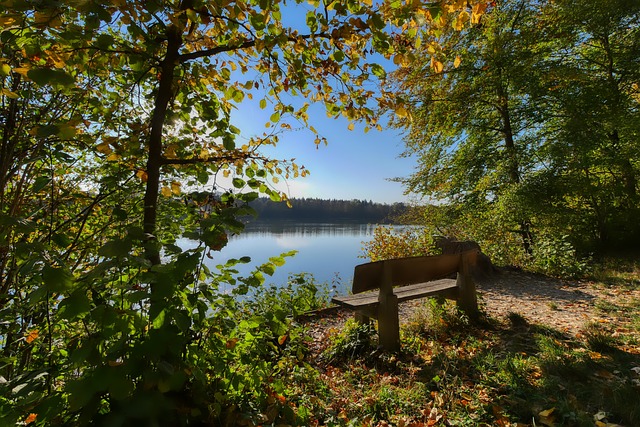 青少年培训 青少年培训