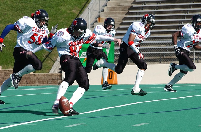 成为了伯恩 成为了伯恩