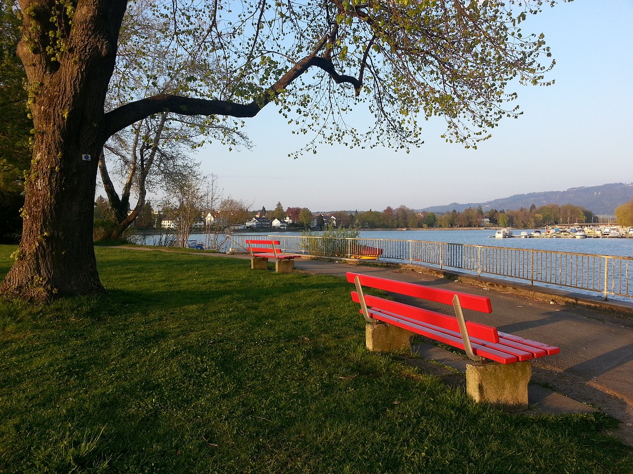 的个人挑战 的个人挑战