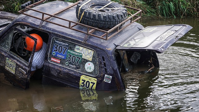 海港阵容的 海港阵容的