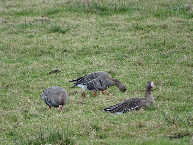 入推广冬季 入推广冬季