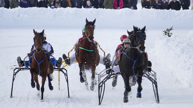 泰山队取胜 泰山队取胜