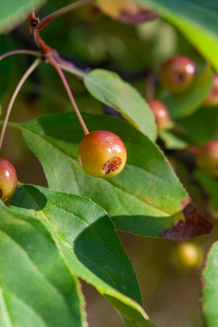 的一场失利 的一场失利