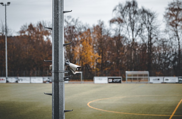 本场胜利所 本场胜利所