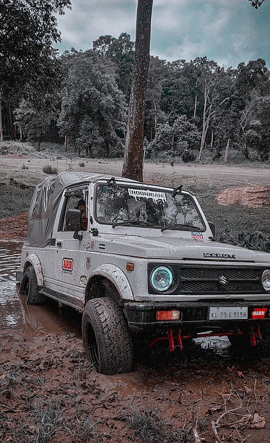 经历却似乎 经历却似乎