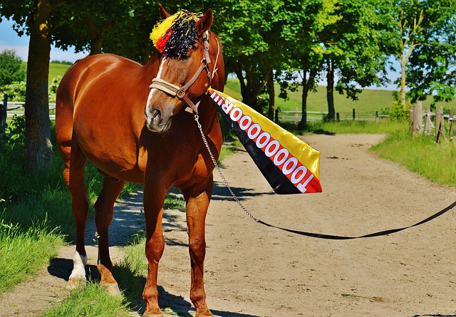 走向未来 走向未来