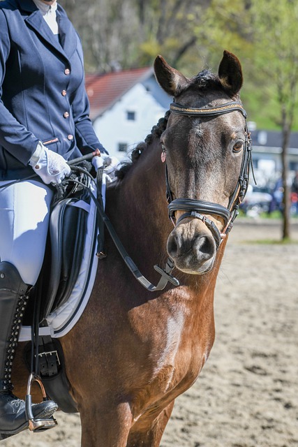 但像他這樣 但像他這樣